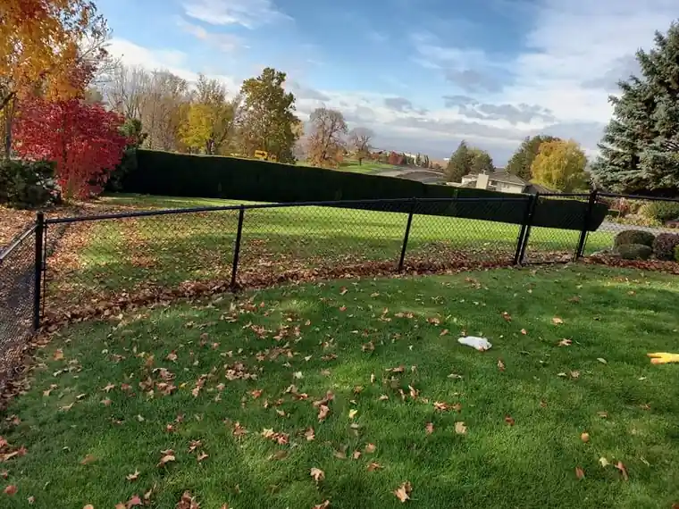 Black chain link fence around a lawn in autumn colour